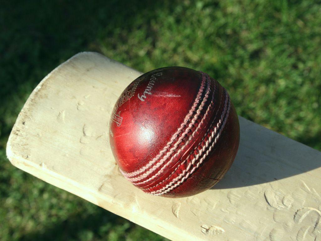 1024x768 Hình nền Cricket: Hình nền Cricket đẹp