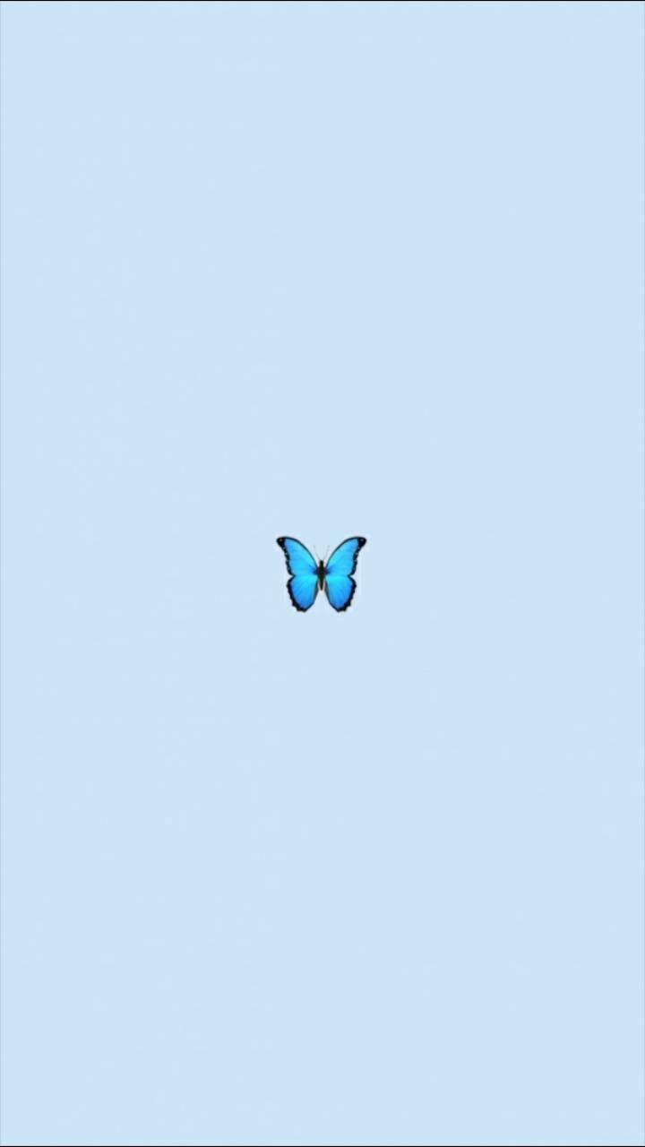 720x1280 vsco hình nền bướm
