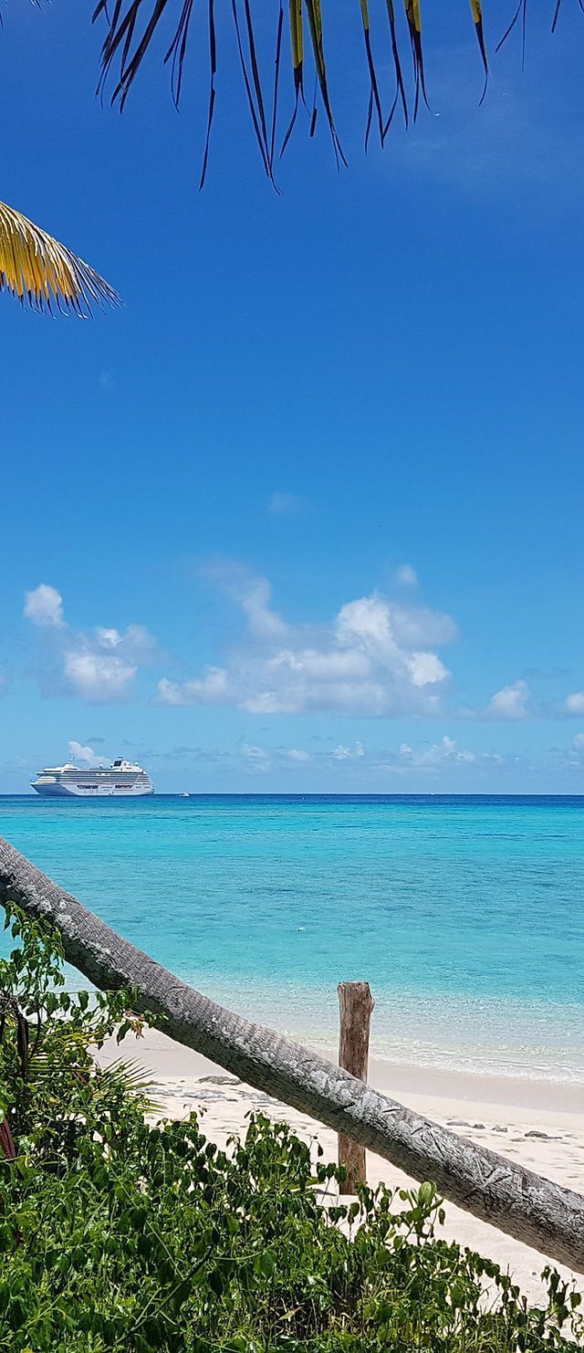 640x1482 Odyssey Travel. Travel, Luxury Cruises & Private Tours