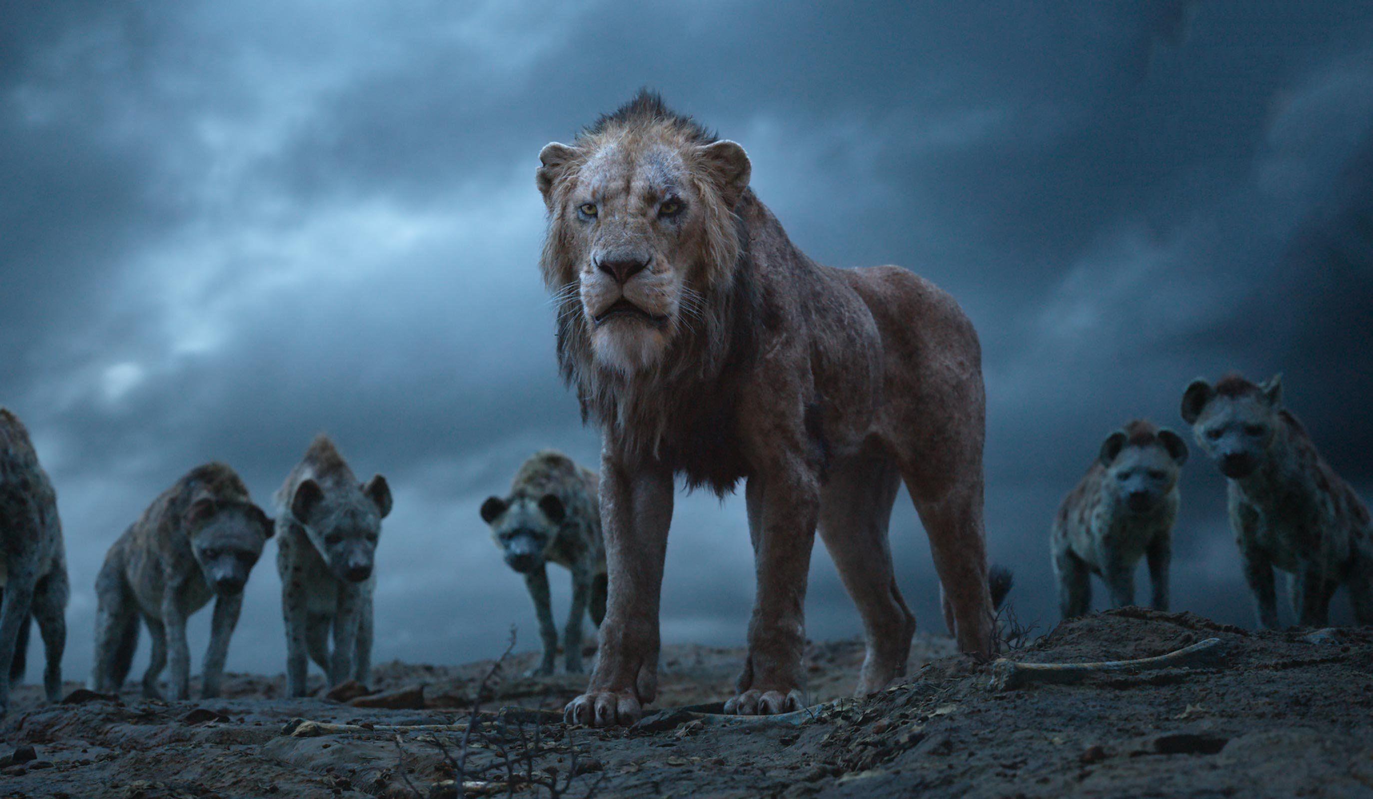 2747x1600 Lion King 2019 Wallpaper