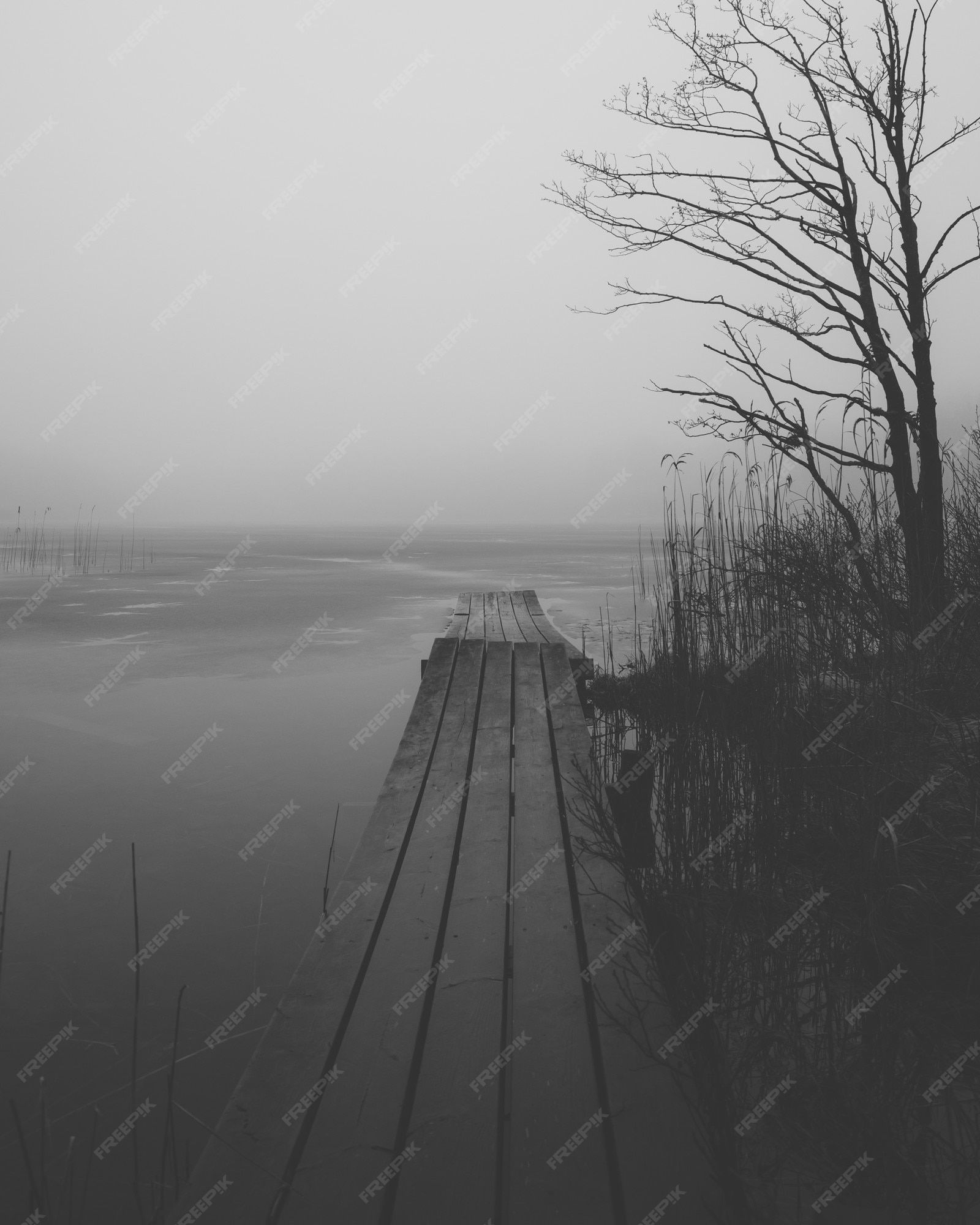 1600x2000 Sad Background Image