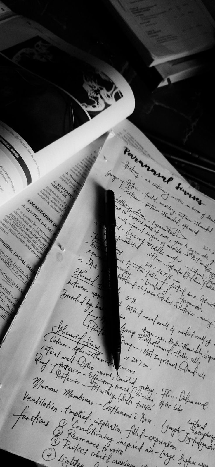 736x1596 Medical student dark academia aesthetic notes