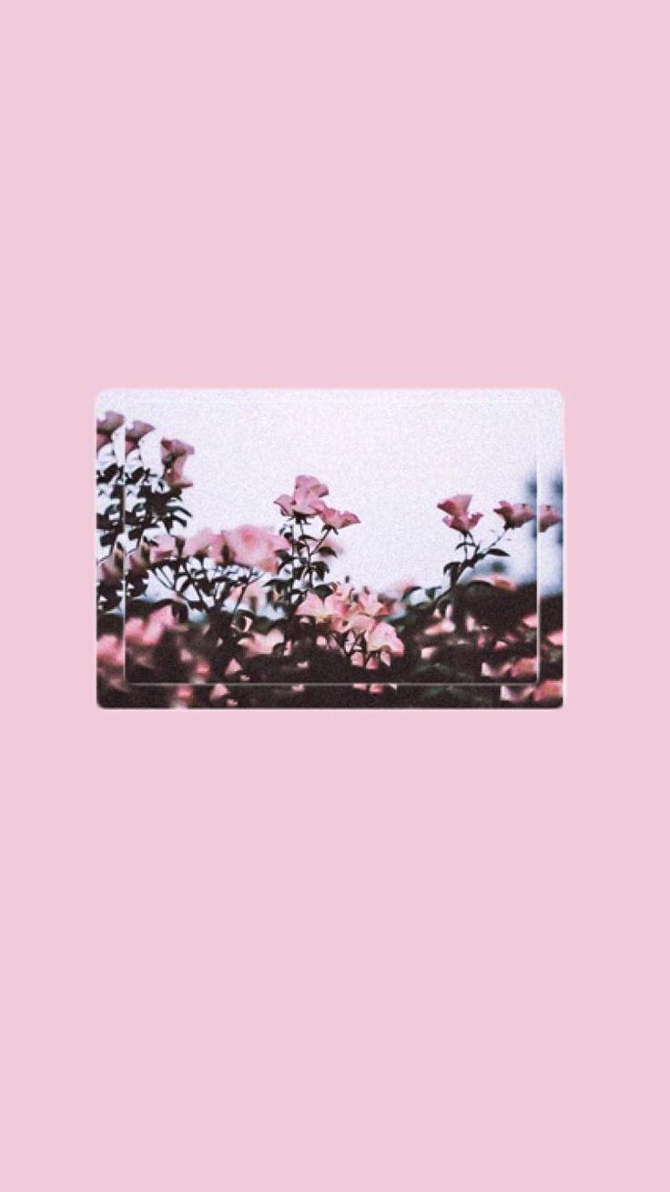 pink aesthetic vintage minimalist wallpaper