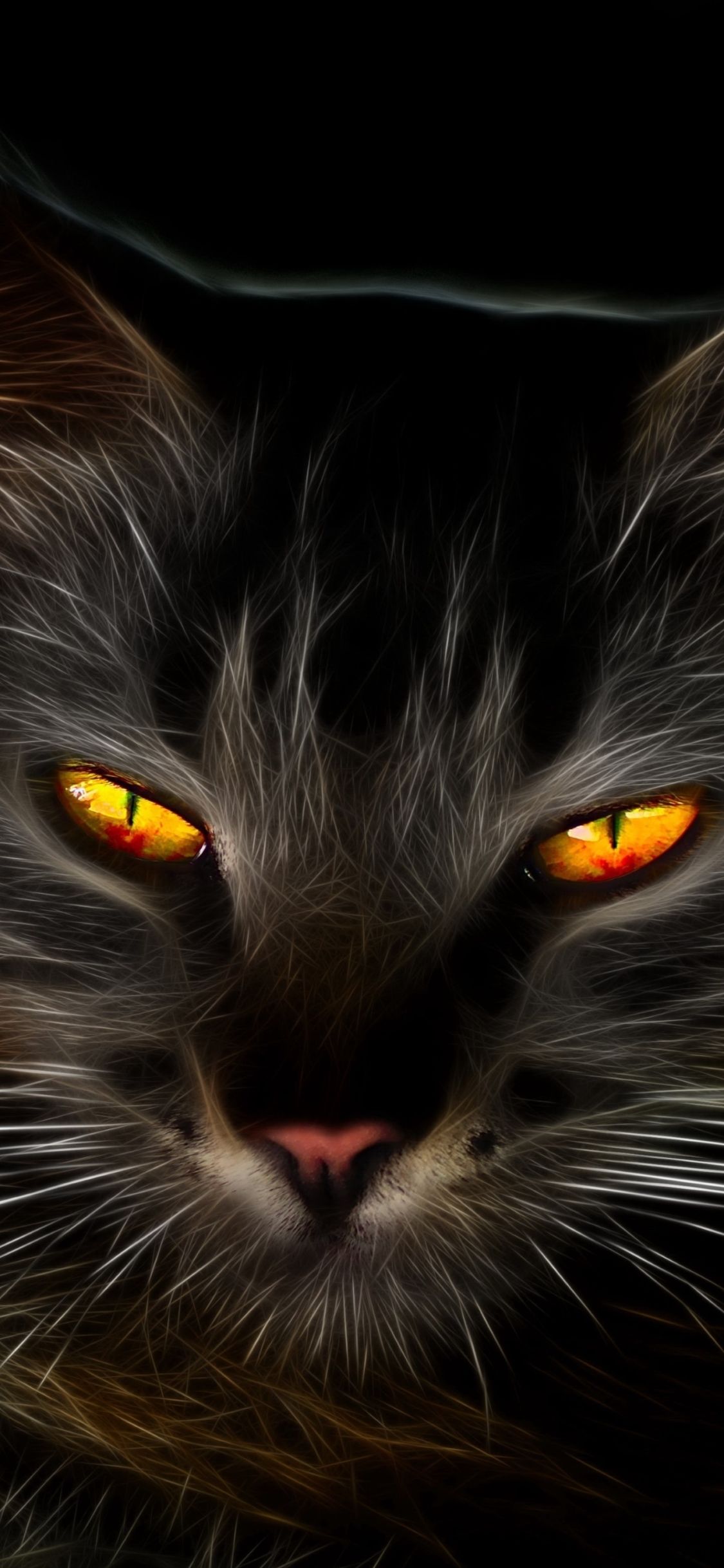 1125x2436 Black Cat with Amber Eyes
