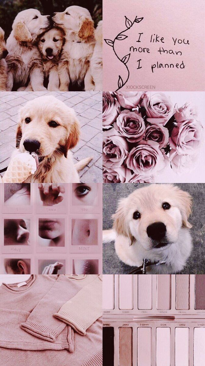 673x1200 Cute Puppy Aesthetic Wallpaper Download