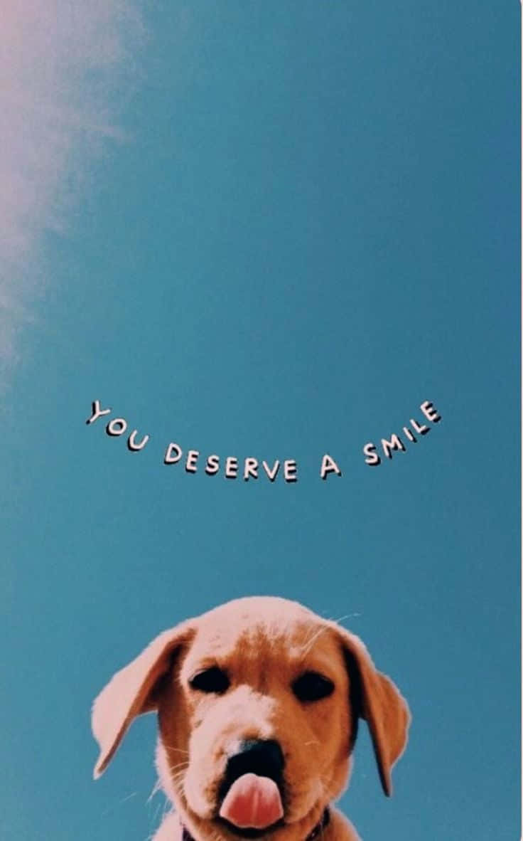 736x1182 Download Adopt A New Best Friend
