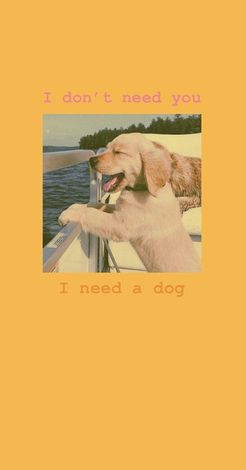 825x1576 Aesthetic Dog Photo. Aesthetic image, Dog photo, Dogs
