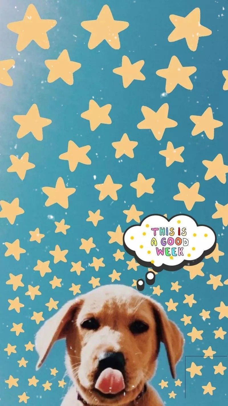 800x1422 Free download Dog Summer Wallpaper Puppy wallpaper Cute puppy breeds Small [800x1422] for your Desktop, Mobile & Tablet. Explore Cute Dog Summer Aesthetic Wallpaper. Cute Dog Wallpaper, Cute Dog