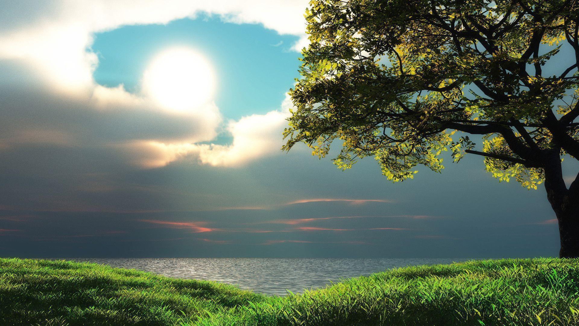 1920x1080 Full HD Nature Wallpaper
