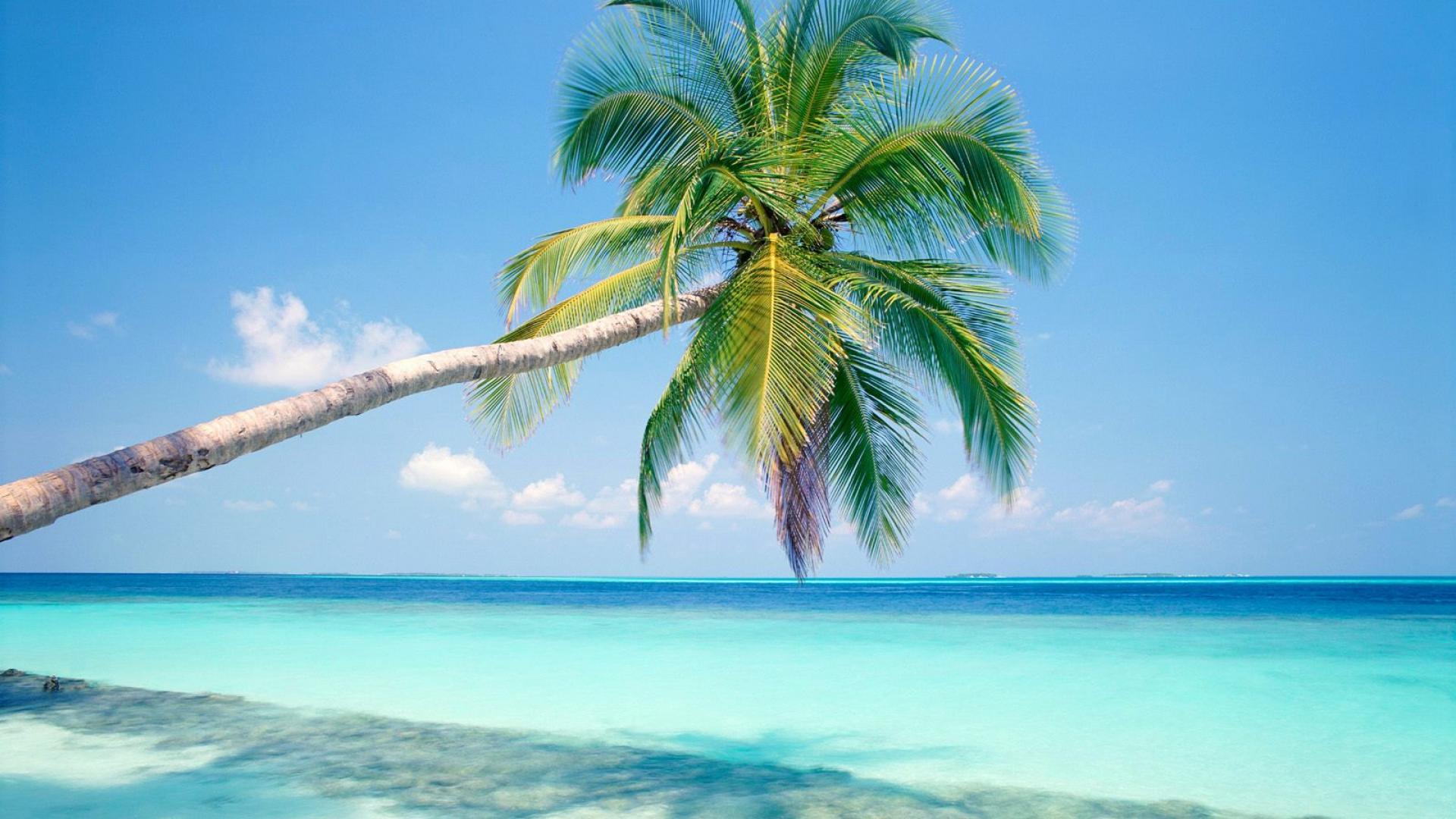1920x1080 Desktop Background 1920x1080 Beach HD Wallpaper, Background Image