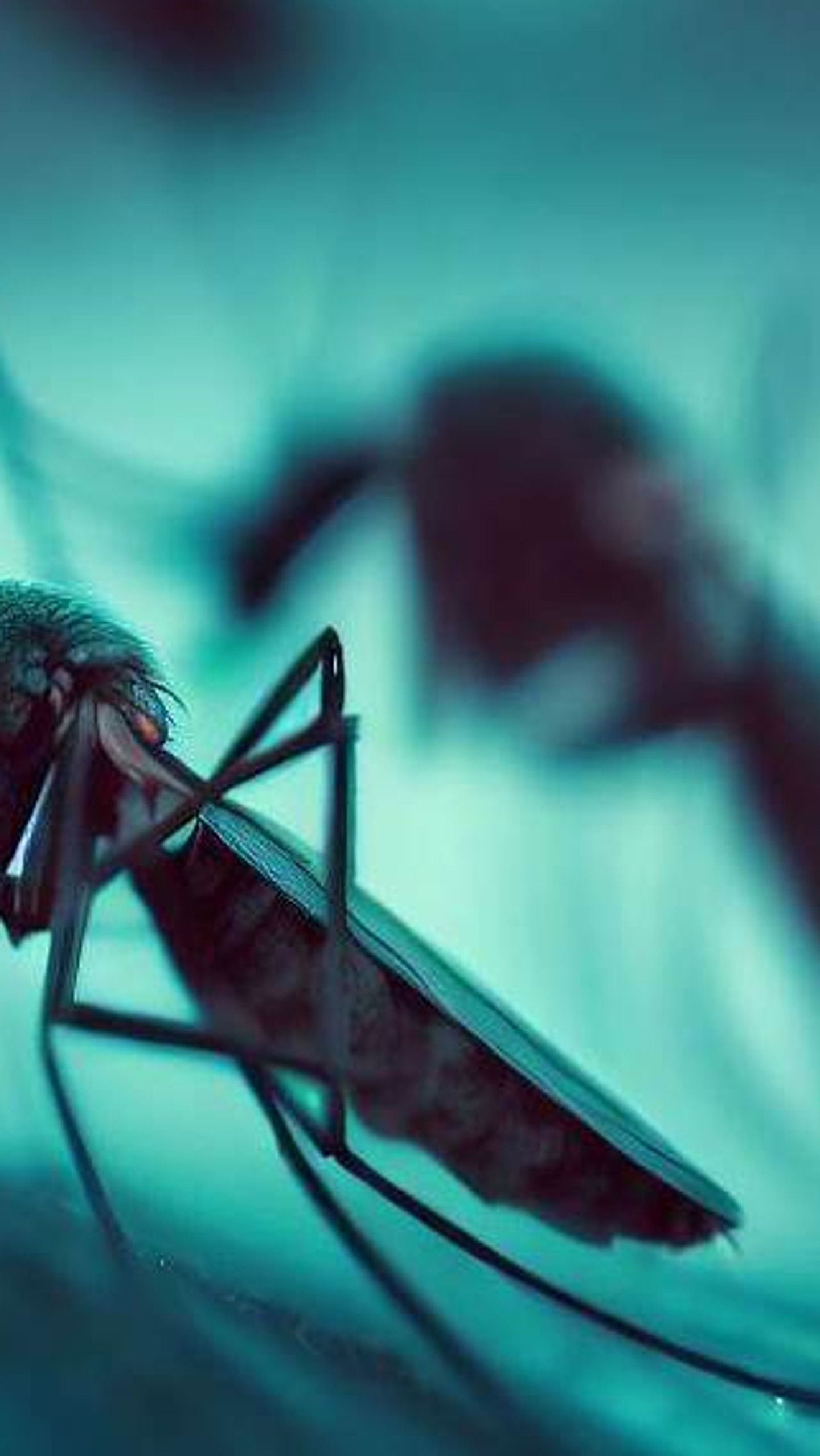 1440x2558 As planet gets hotter, more mosquitoes could bring more malaria