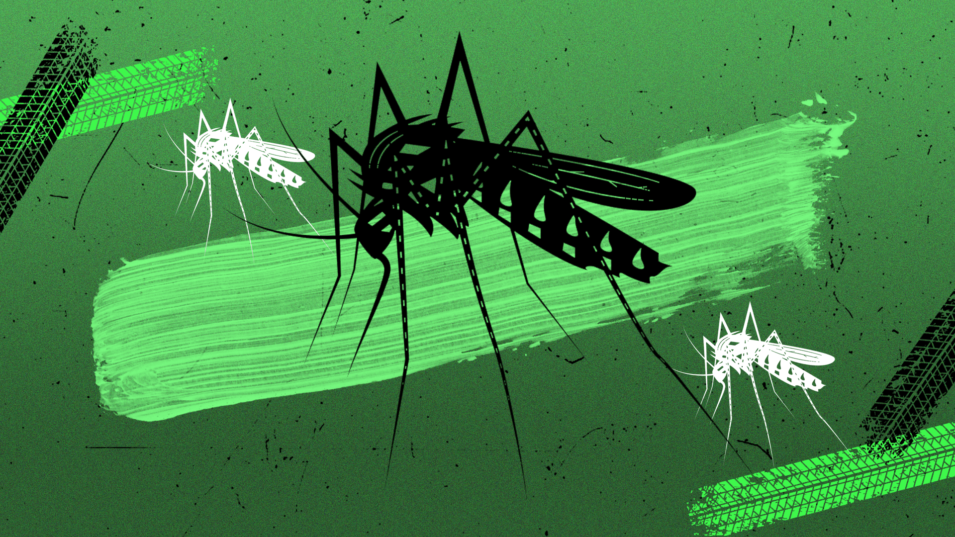 1920x1080 Malaria cure possible with new microbe