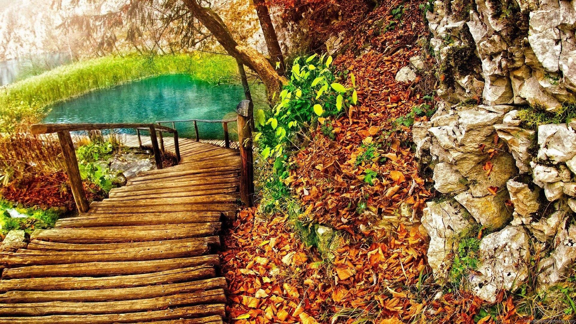 1920x1080 Download Nature Wallpaper Full HD 1080p Photo Desktop Background