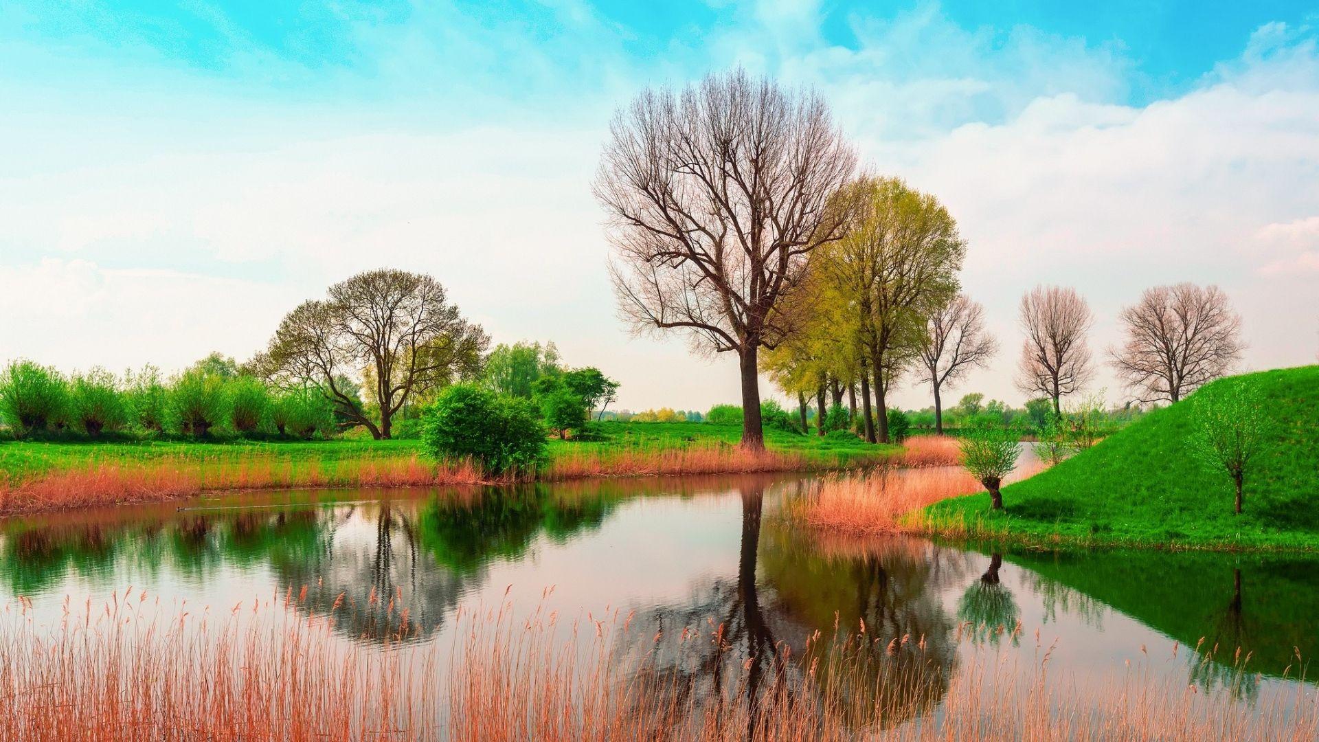 1920x1080 Nature Wallpaper