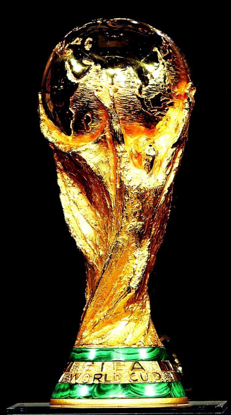 801x1440 Cricket world cup trophy Wallpaper Download