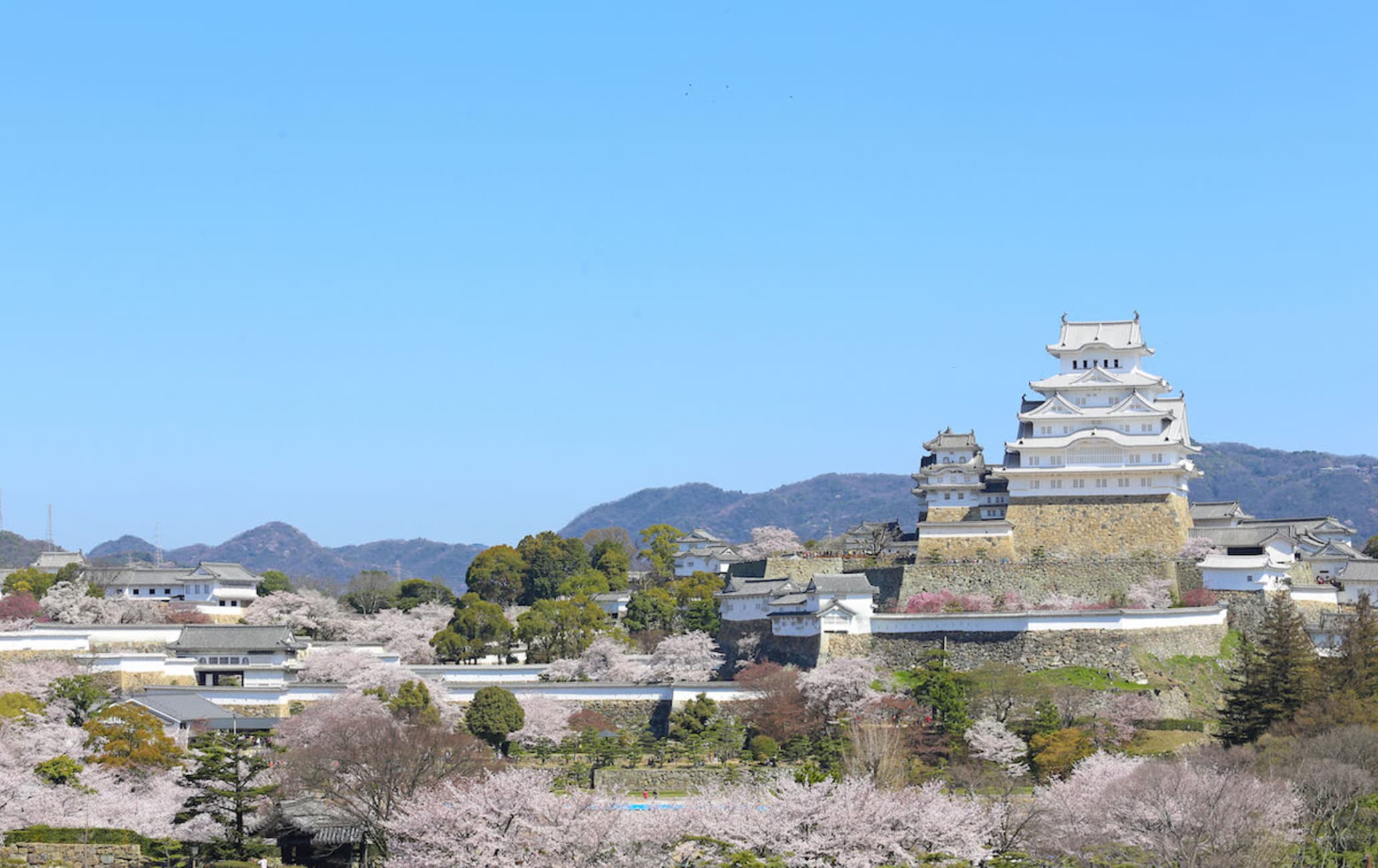 2064x1300 Himeji Castle. Travel Japan National Tourism Organization (Official Site)