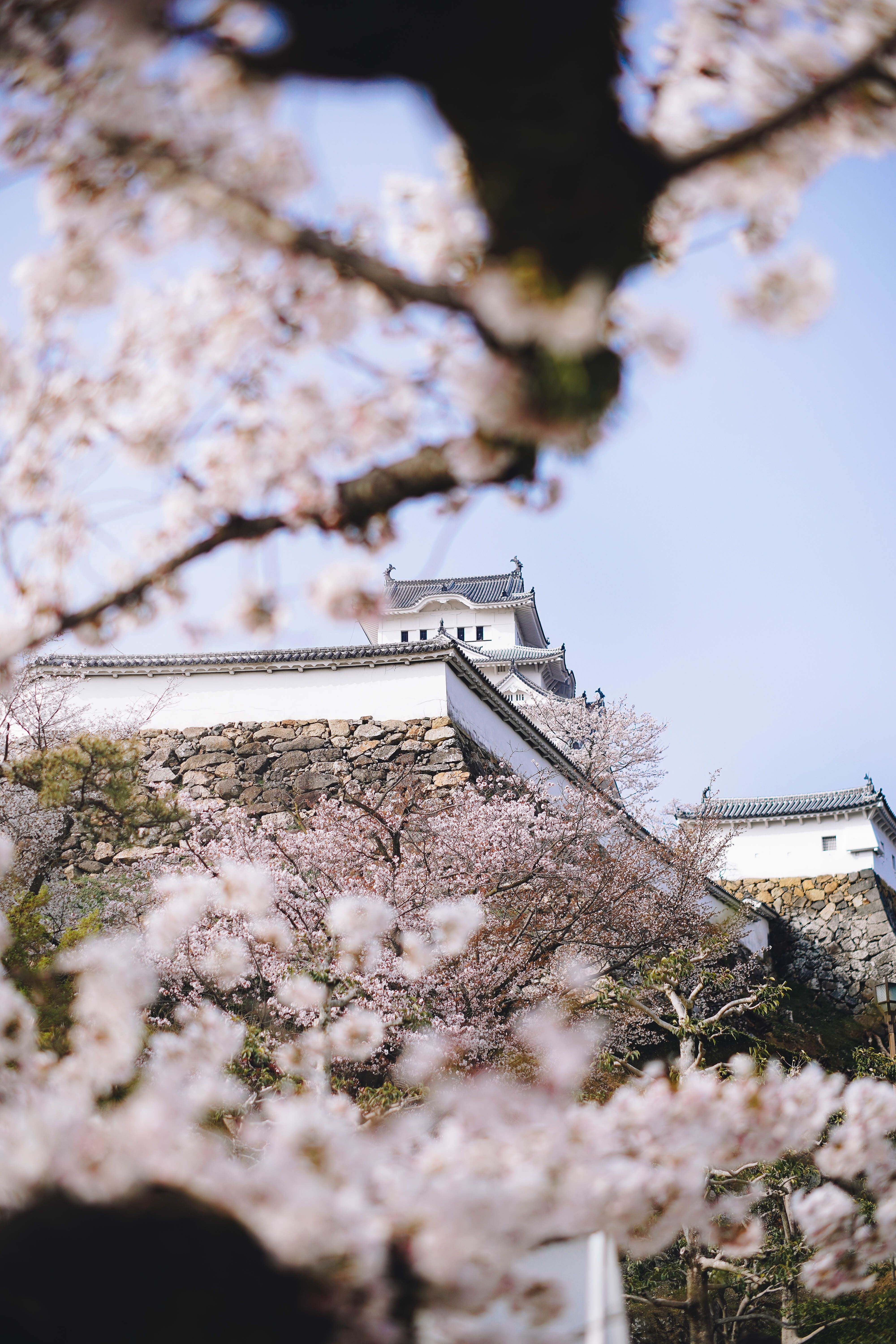 4000x6000 10.Fotos y Imágenes de Castillo de himeji Gratis · Banco de Fotos Gratis