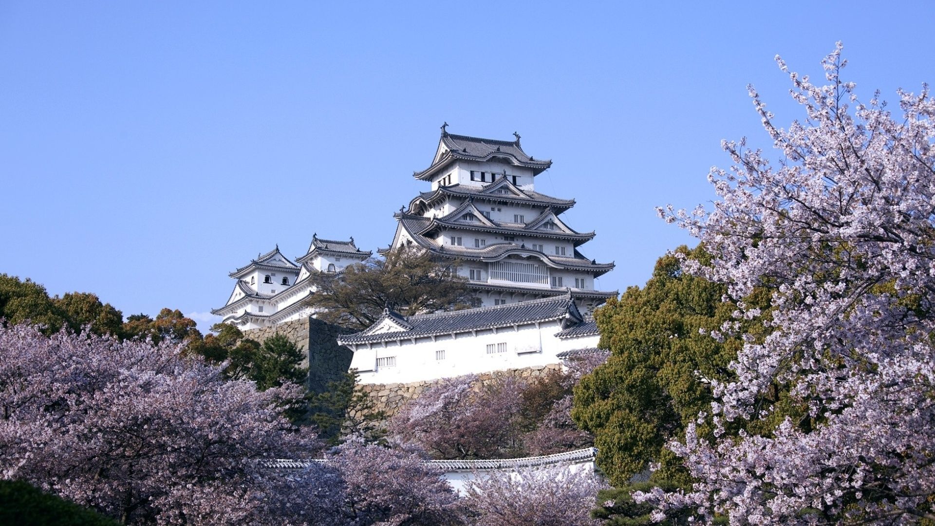 1920x1080 Download Himeji Castle wallpaper for mobile phone, free Himeji Castle HD picture