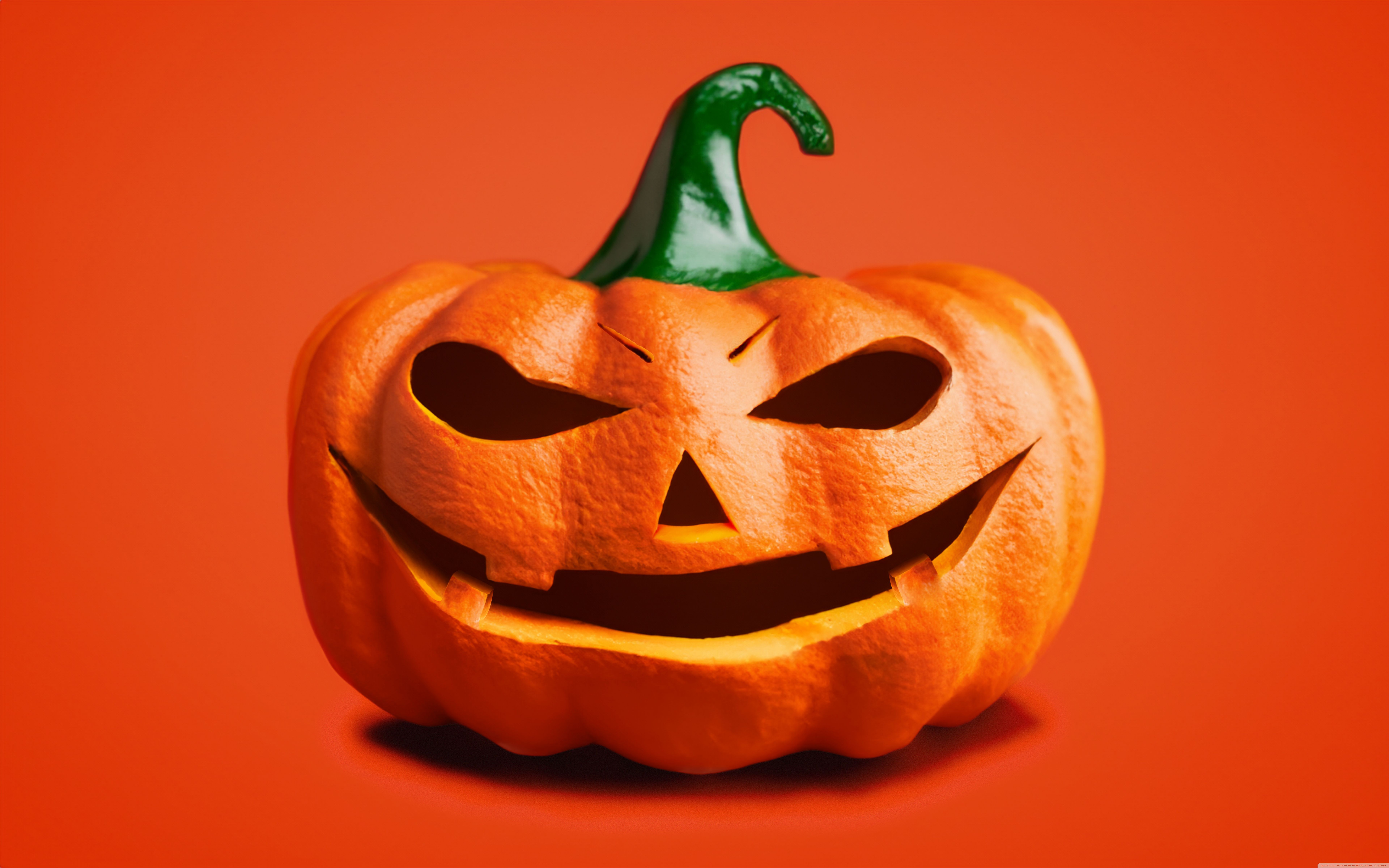 7680x4800 Halloween Orange Pumpkin Jack O Lantern 2023 Background Ultra HD Desktop Background Wallpaper for 4K UHD TV : Tablet