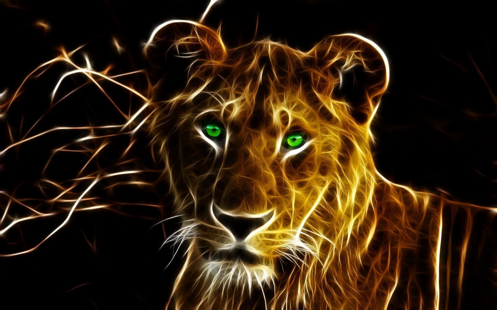 1920x1200 Animal Lion HD Wallpaper