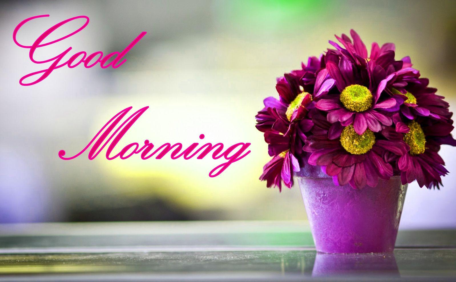 latest good morning wallpaper free download