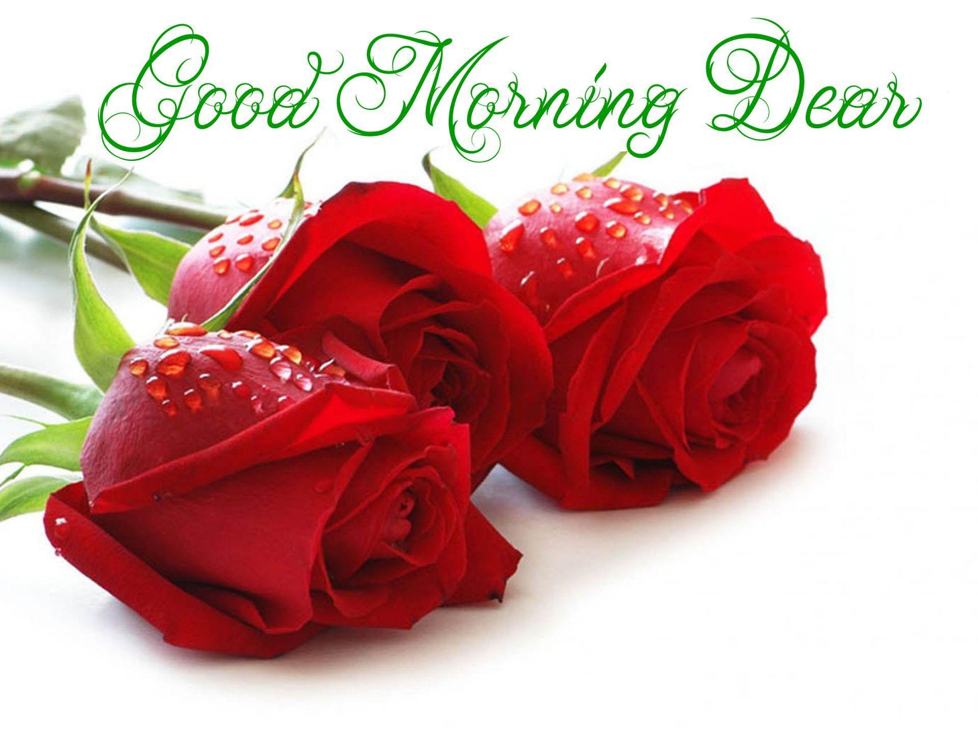 Romantic Good Morning Images For Boyfriend  Good Morning Wallpaper  Download  1600x1600 Wallpaper  teahubio