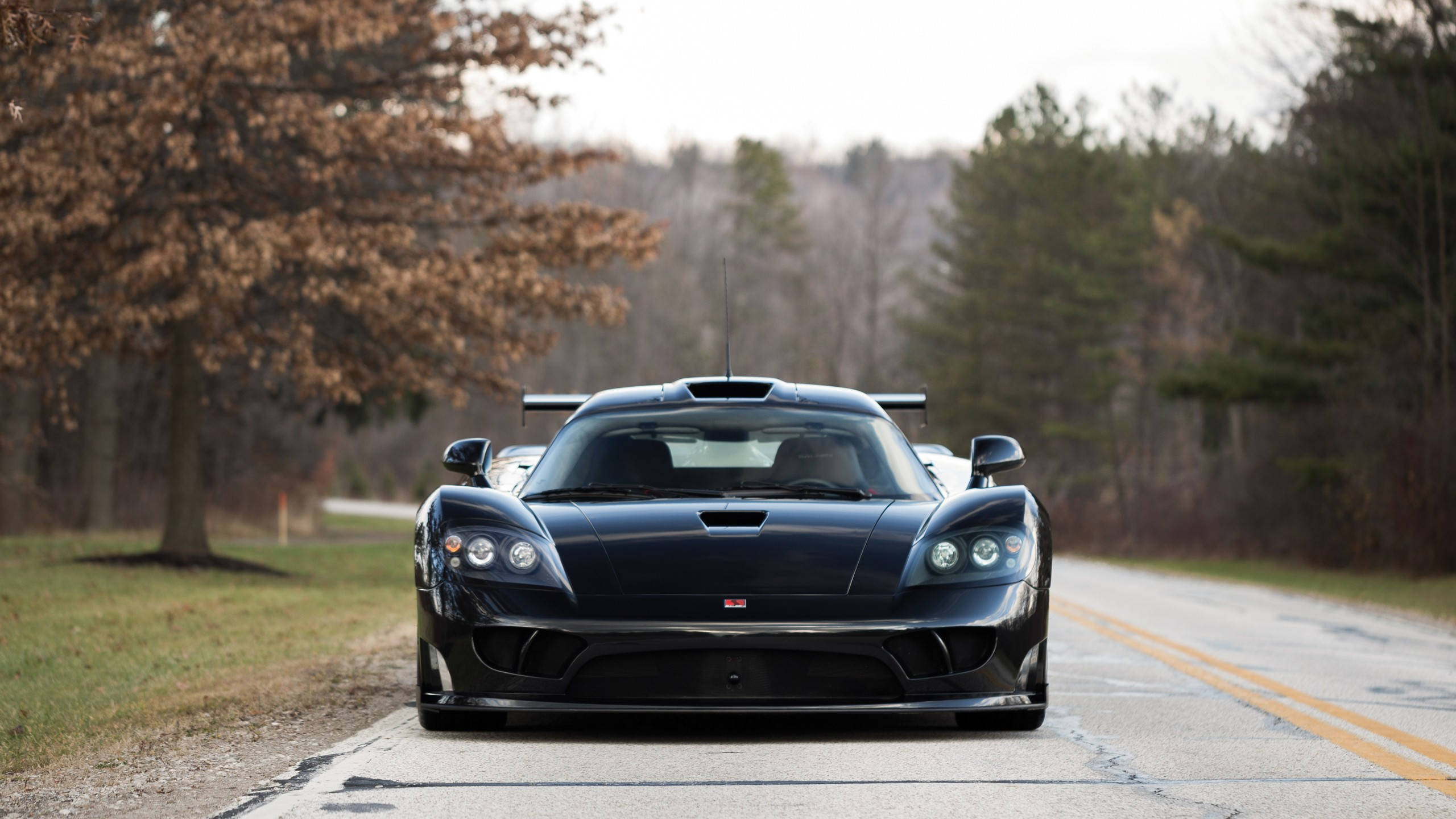2560x1440 Download 2560x1440 Car Black Saleen S7 Wallpaper