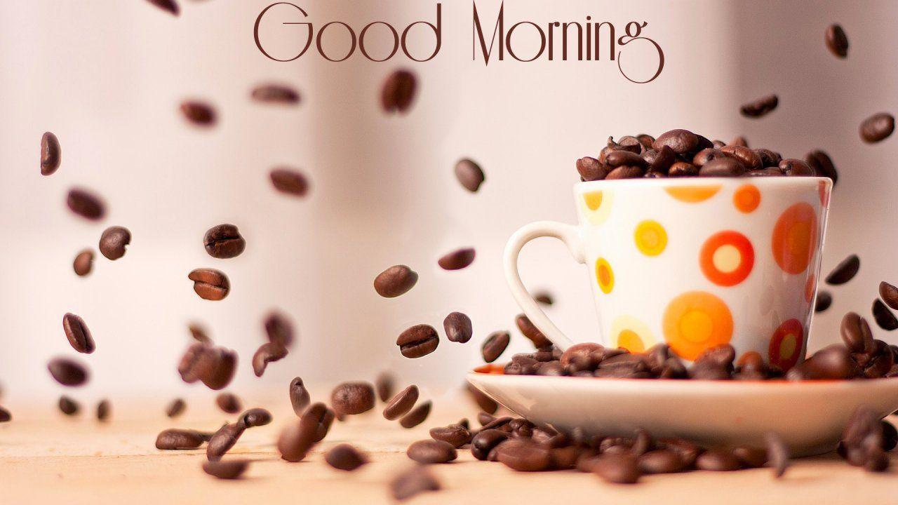 Good Morning Wallpapers Top Free Good Morning Backgrounds