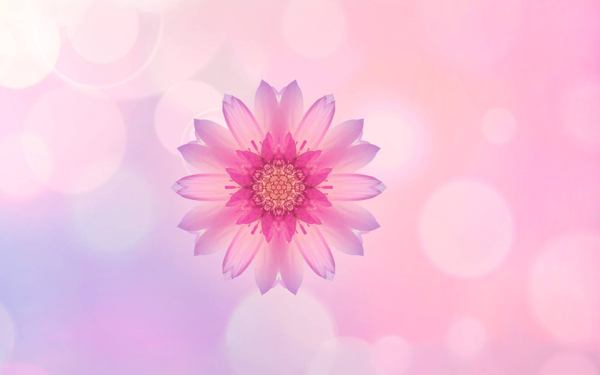 1920x1200 Huawei Wallpaper