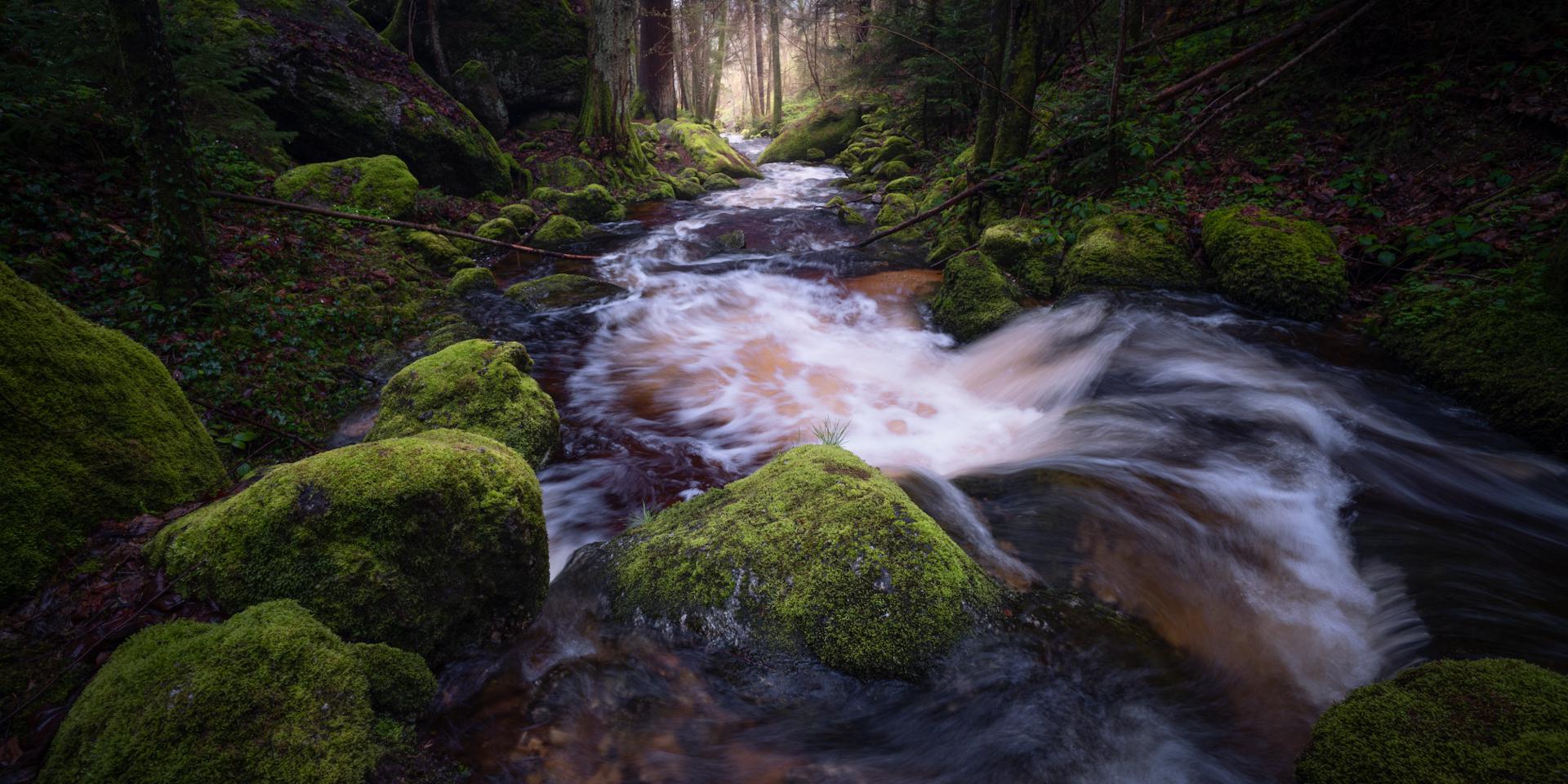 1920x960 a mystic river in an Austrian forest [1920x OC, Lower Austria]