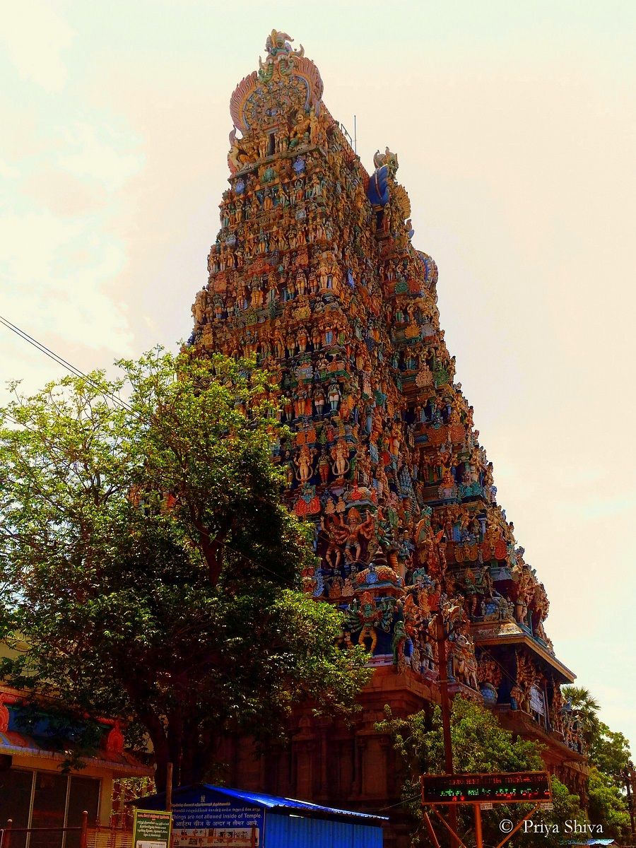 900x1200 Memoirs of Regency Madurai