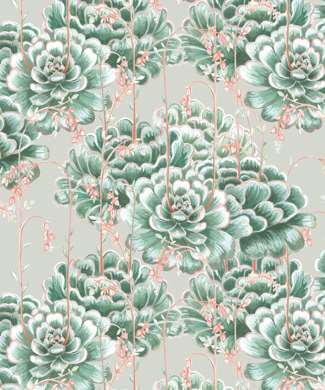 1100x1320 Succulents Wallpaper • Stunning Cactus Design