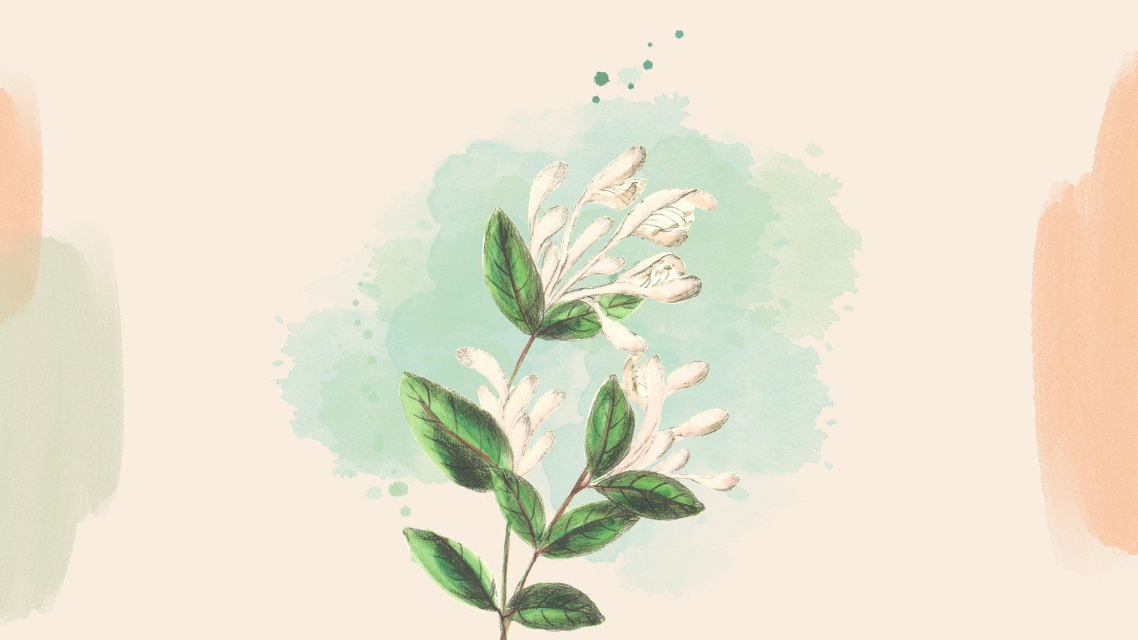 Beige and Green Wallpapers - Top Free Beige and Green Backgrounds