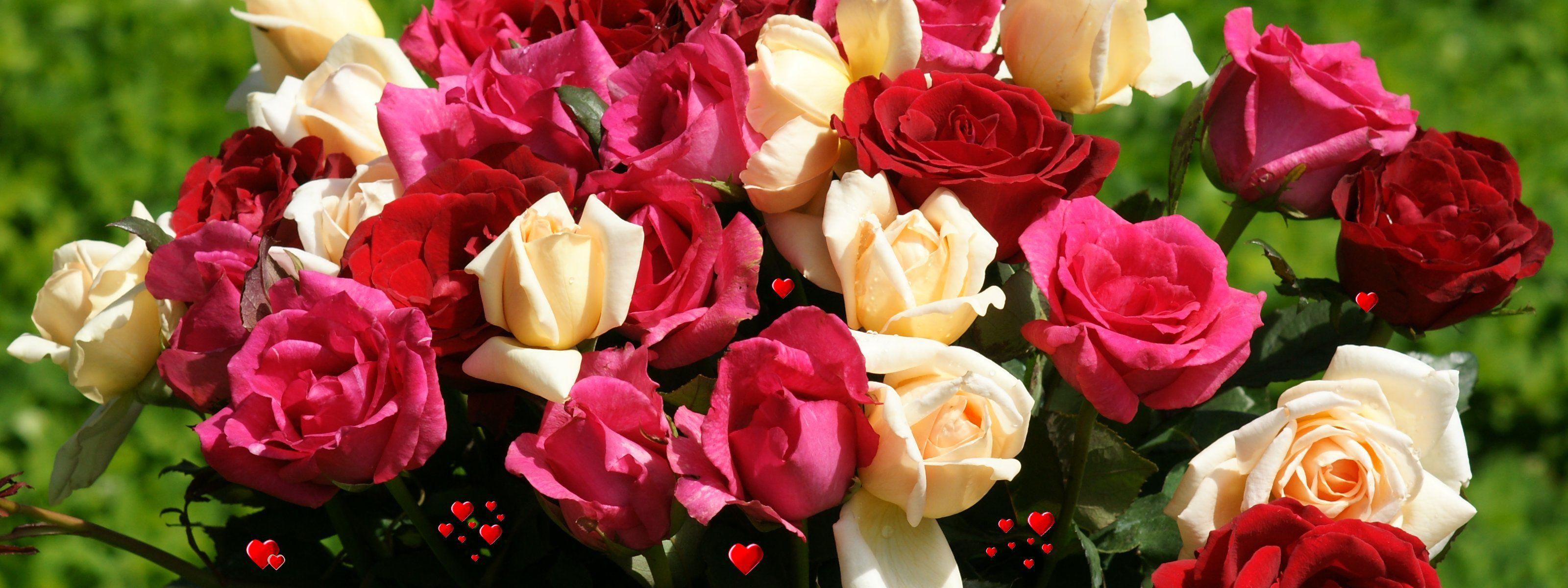 3200x1200 Roses monitor wallpaper