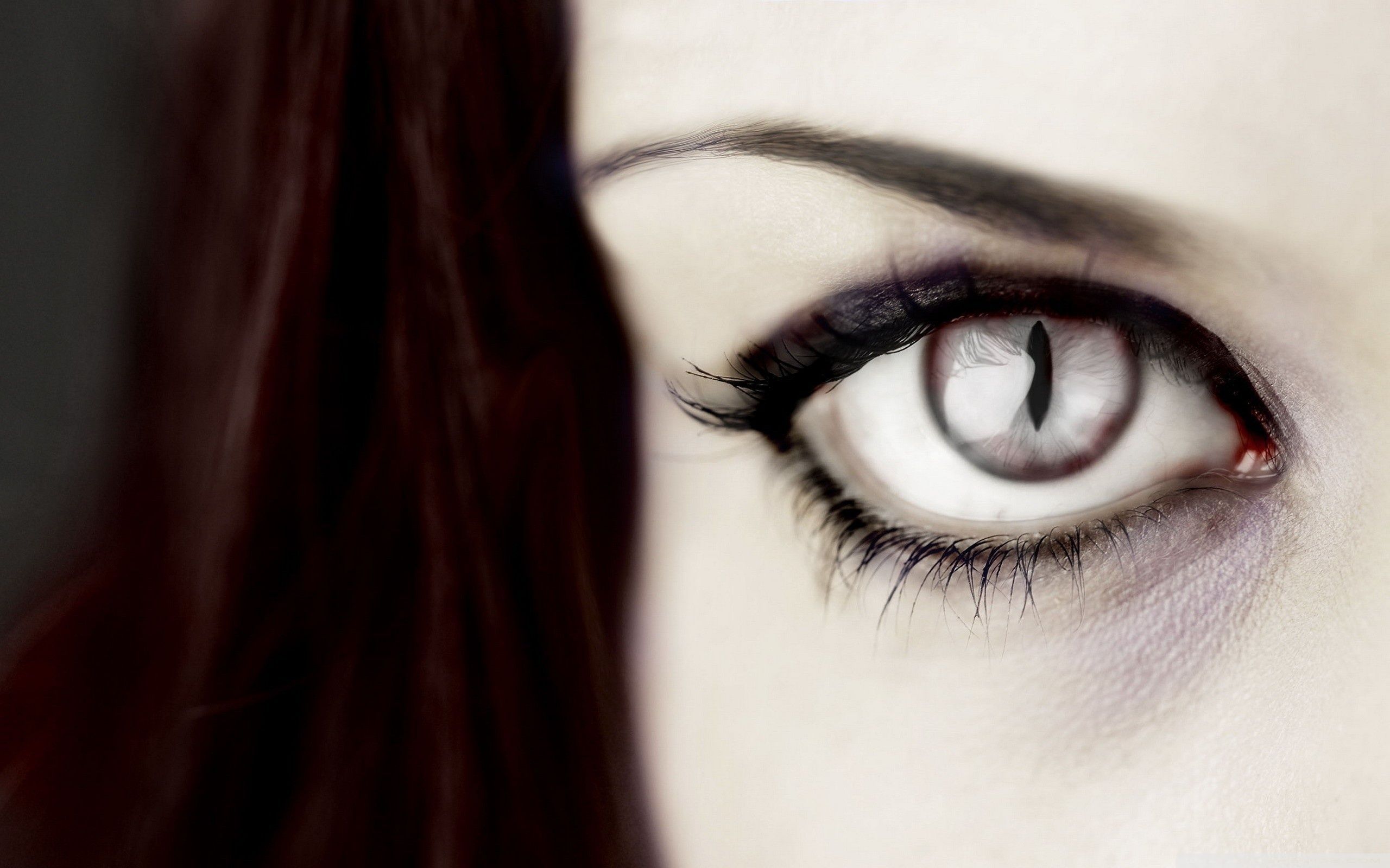 2560x1600 Vampire Eye Ultra HD Desktop Background Wallpaper for 4K UHD TV : Tablet