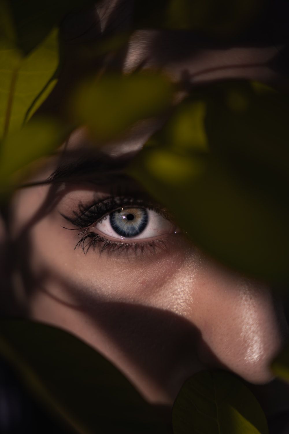 1000x1500 Womans eyes with green leaves photo