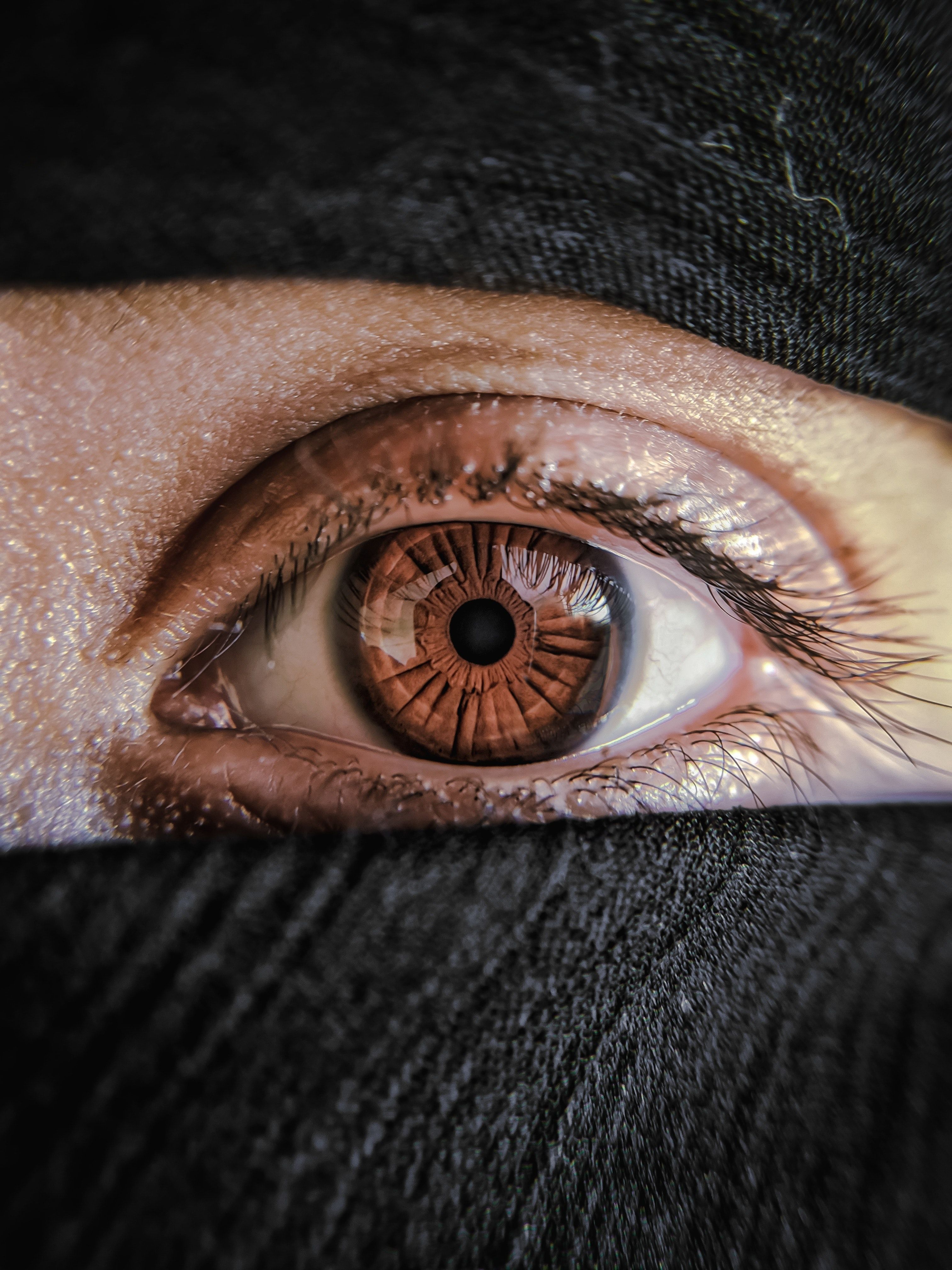 3024x4032 Human Eye · Free