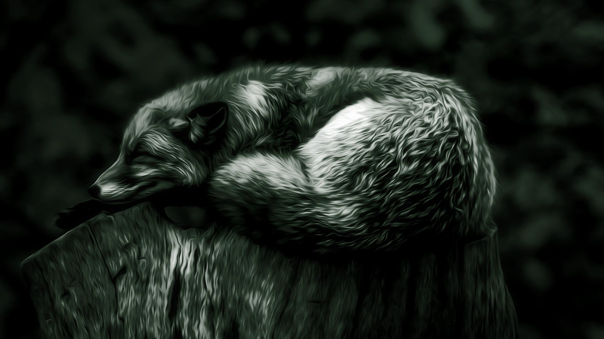 1920x1080 Vintage Resting Fox 4K Wallpaper