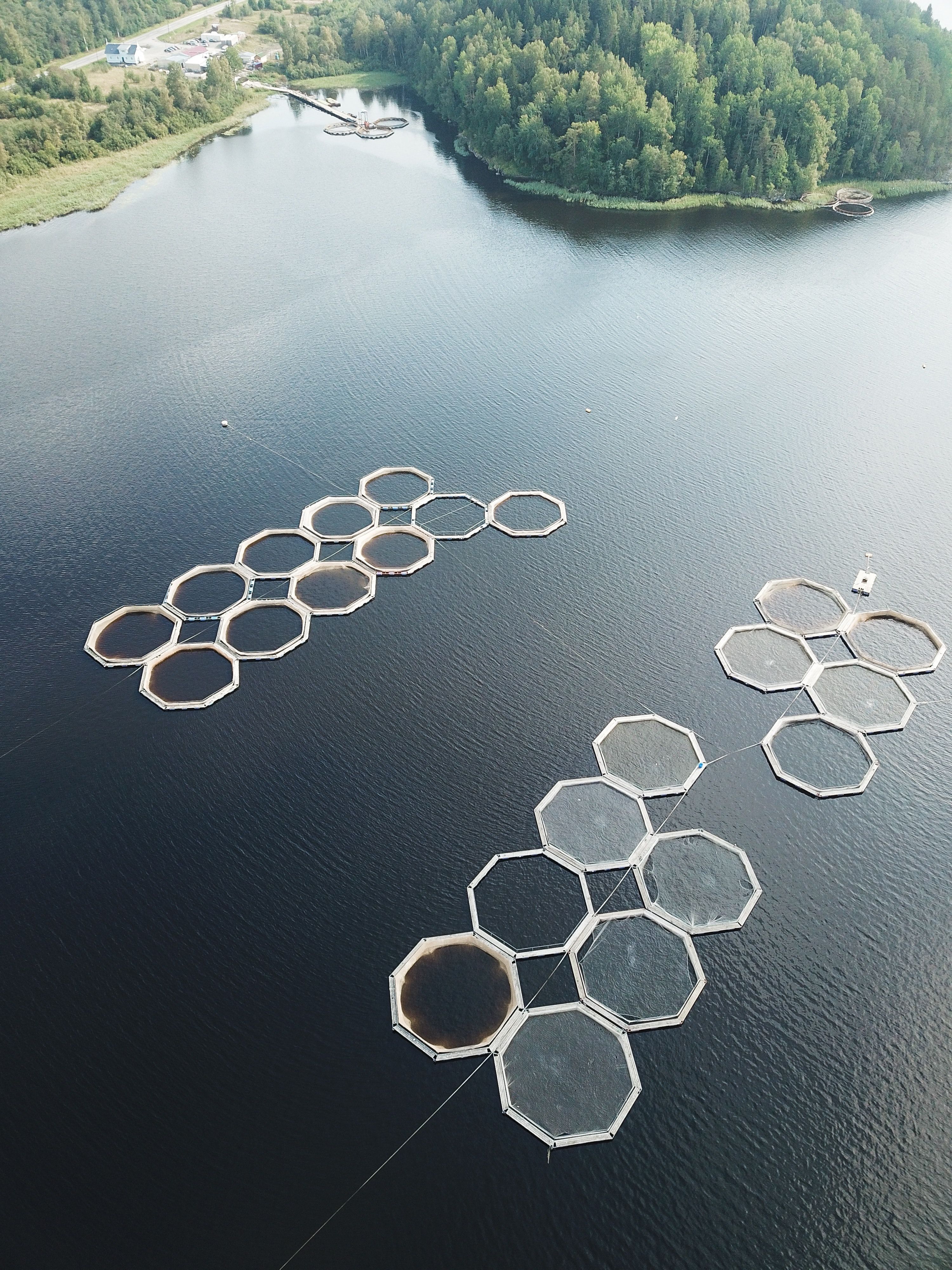 3000x4000 Aquaculture Photo, Download The BEST Free Aquaculture & HD Image