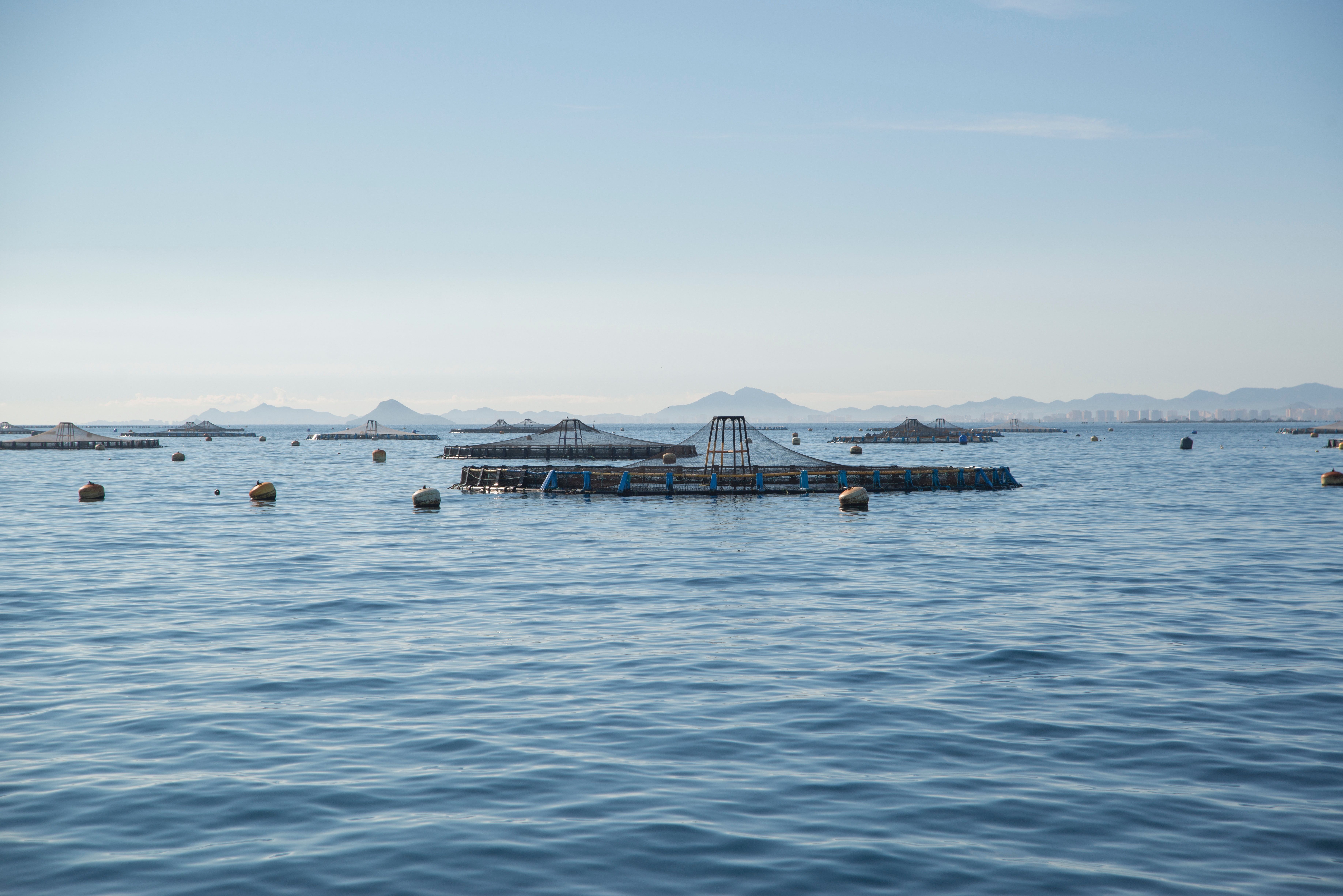 7347x4903 Aquaculture Photo, Download The BEST Free Aquaculture & HD Image