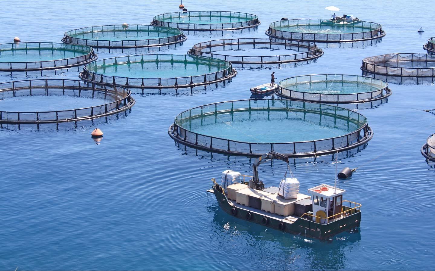 1440x900 Ways to Improve Worker Safety in Offshore Aquaculture