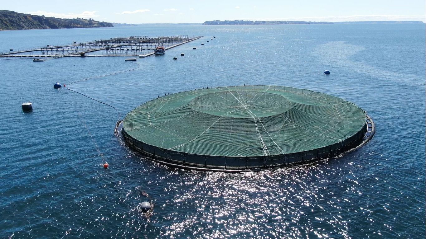 1366x768 Chile leads technological development program to boost sustainable offshore aquaculture
