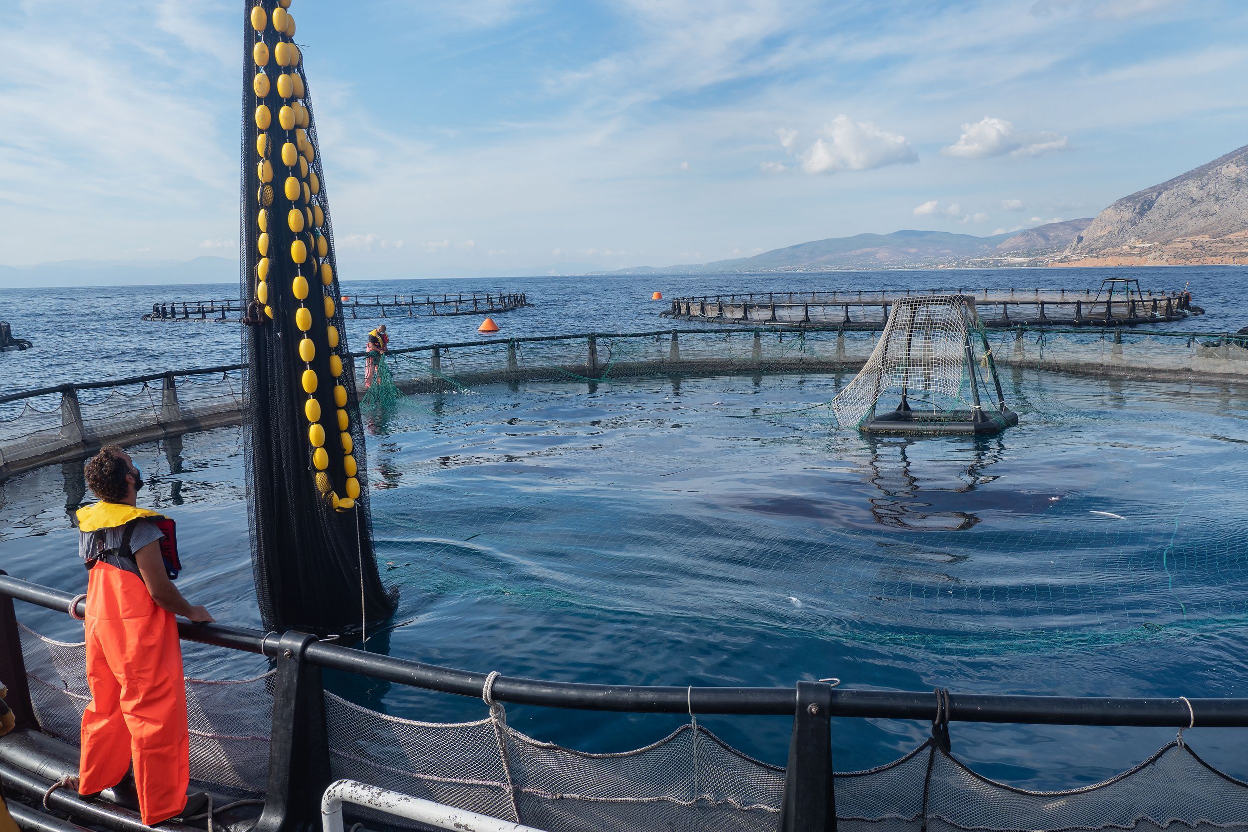 2500x1667 Aquaculture