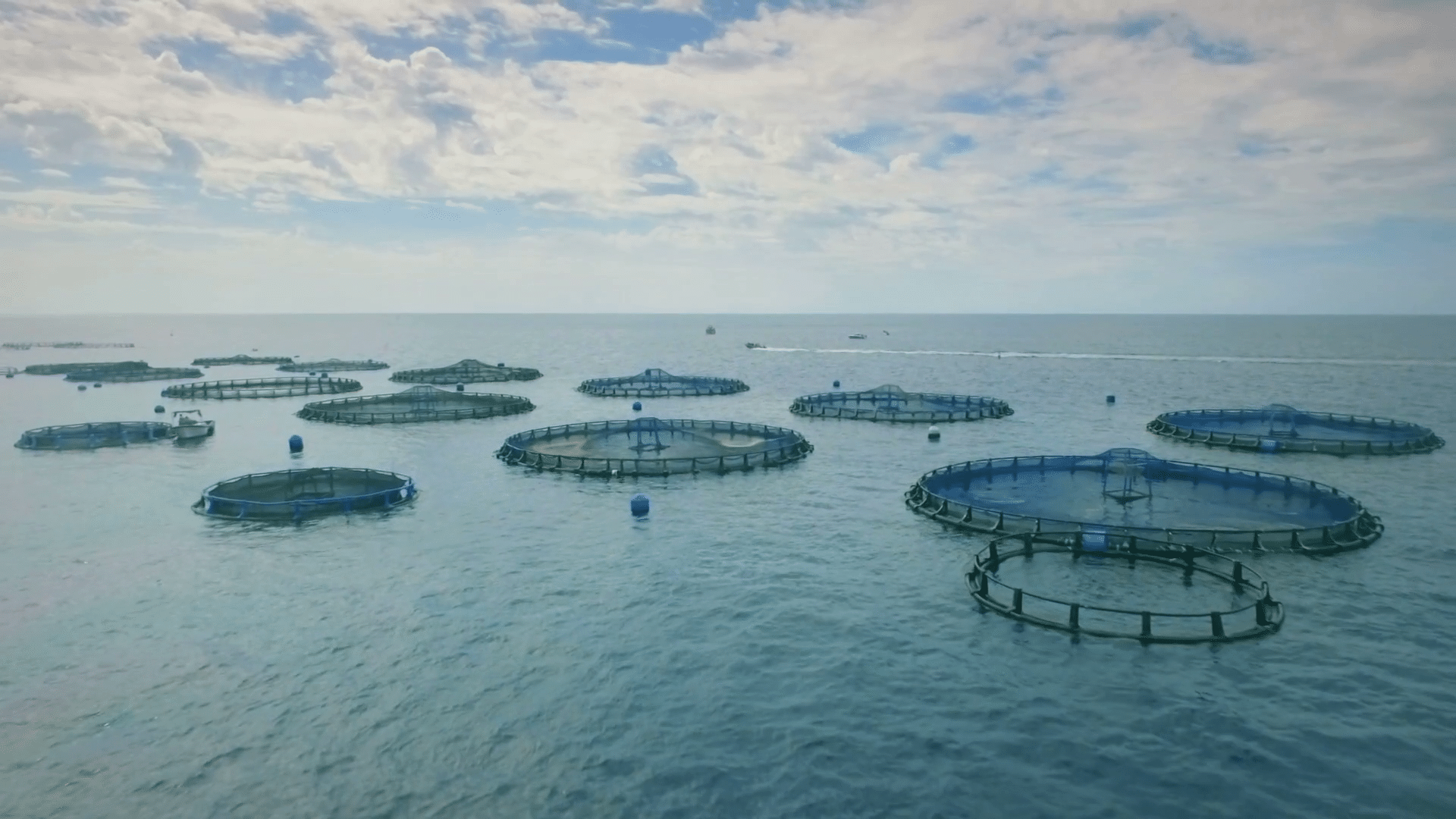 Aquaculture Wallpapers - Top Free Aquaculture Backgrounds - WallpaperAccess