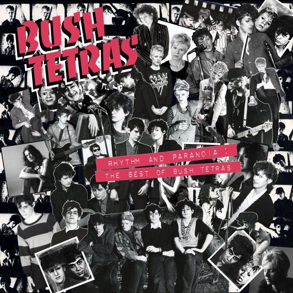 1024x1024 Want List: Bush Tetras Box Will Now Commemorate Dee Pop [1956 2021]. Post Punk Monk