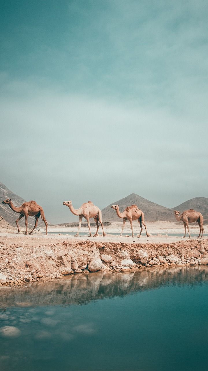 720x1280 Oman Salalah Str