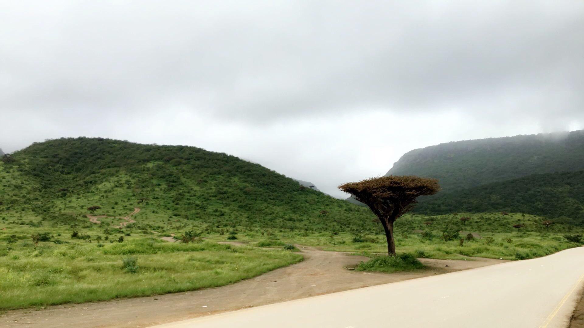 1920x1080 Salalah in its special khareef season