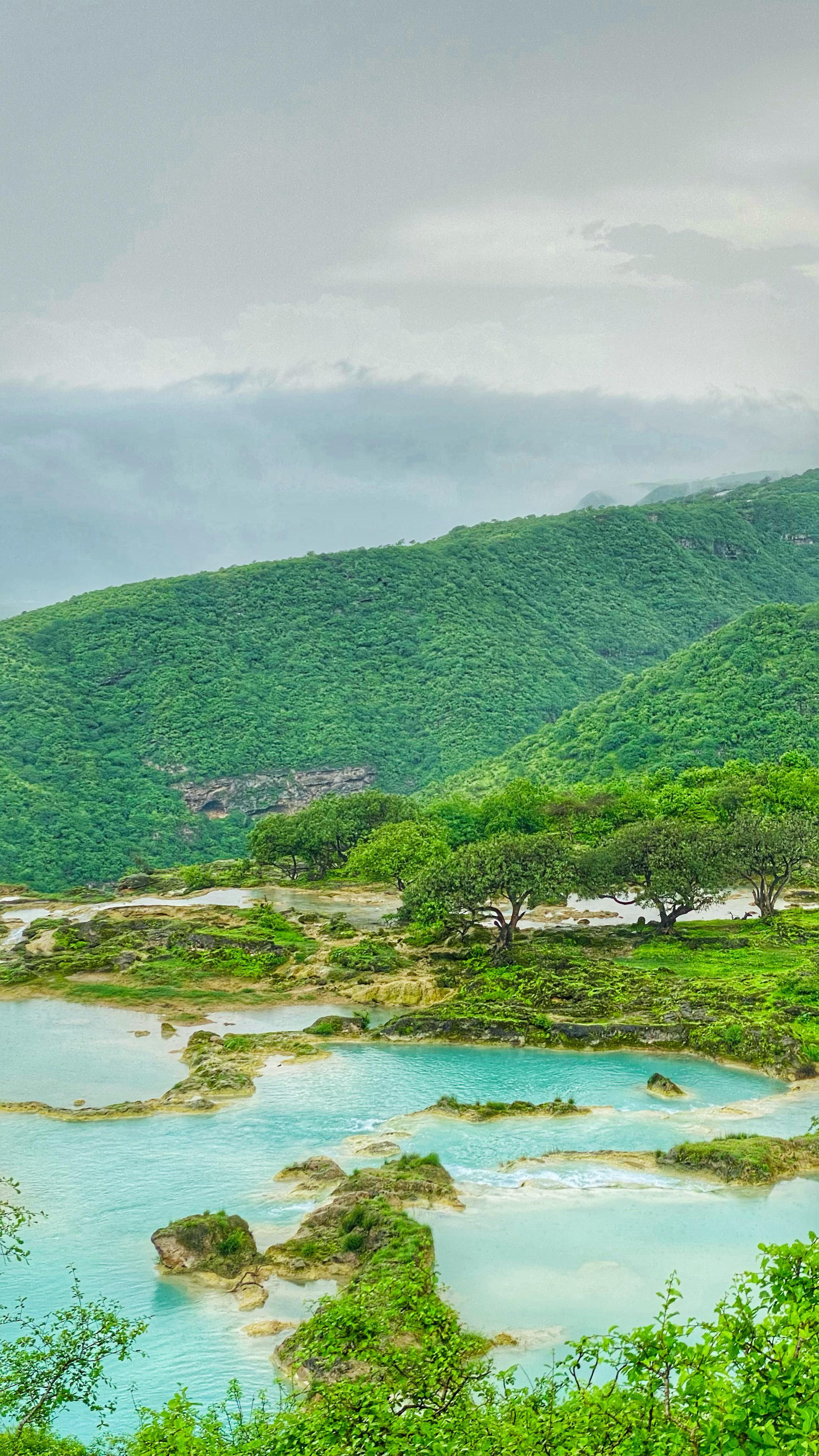 2268x4032 Salalah, Oman