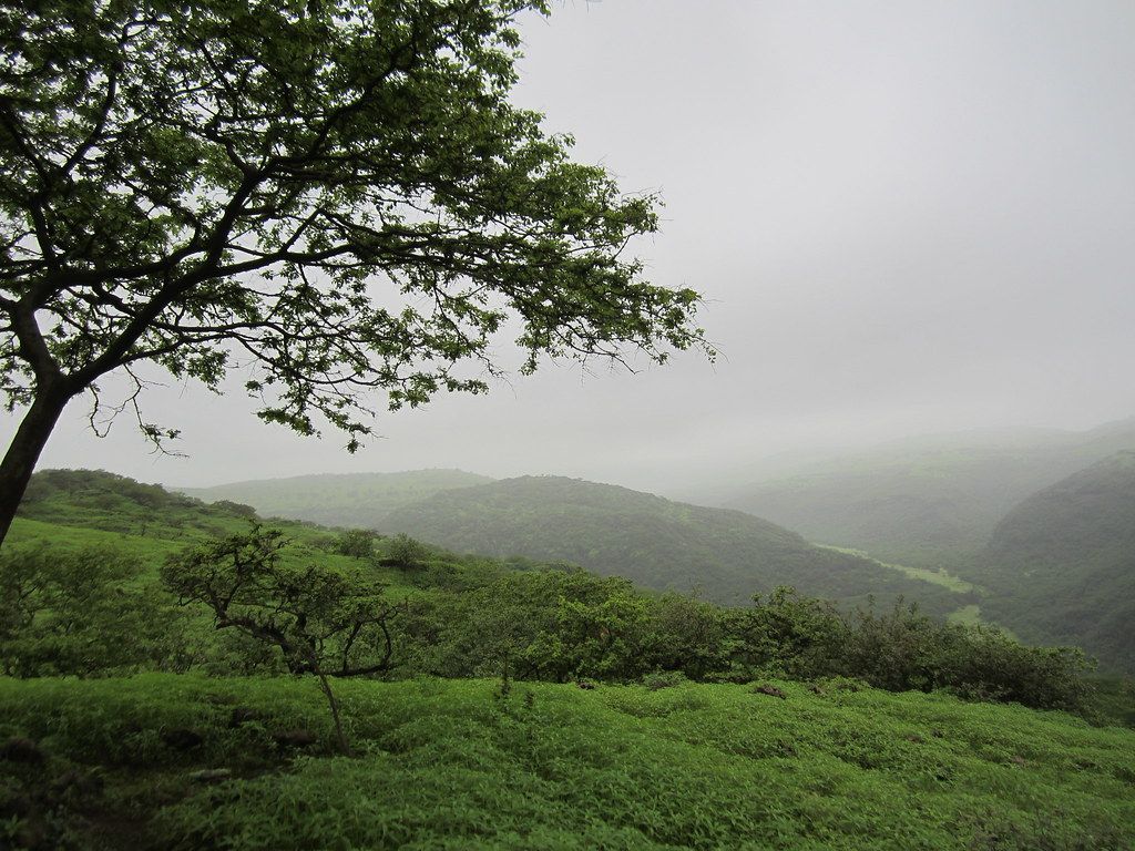 1024x768 Salalah Khareef Season 2012. Salalah, Oman. Praveen Reflection of my eyes
