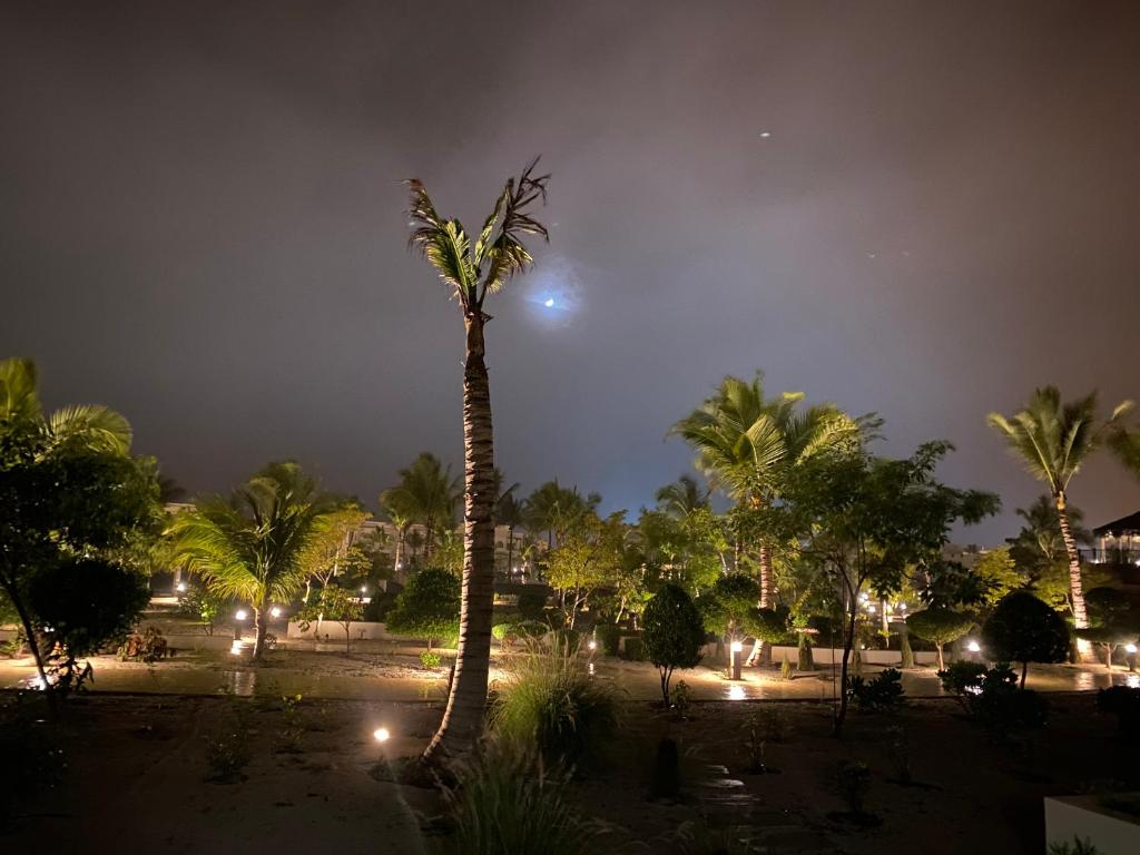 1024x768 Marlyn Paradys, Salalah